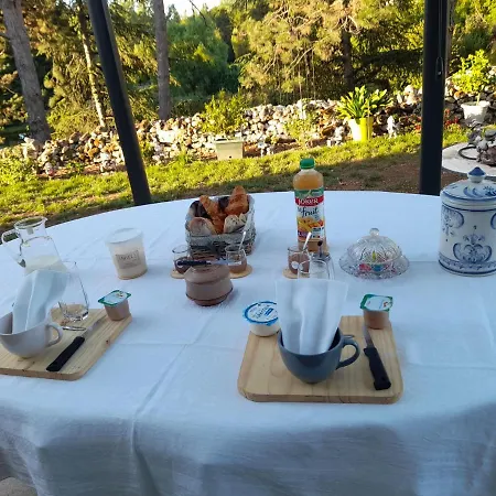 Chez Viviane Bed and breakfast *